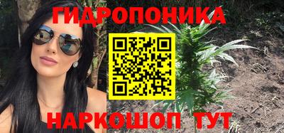 спиды Ливны