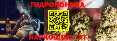 спиды Ливны