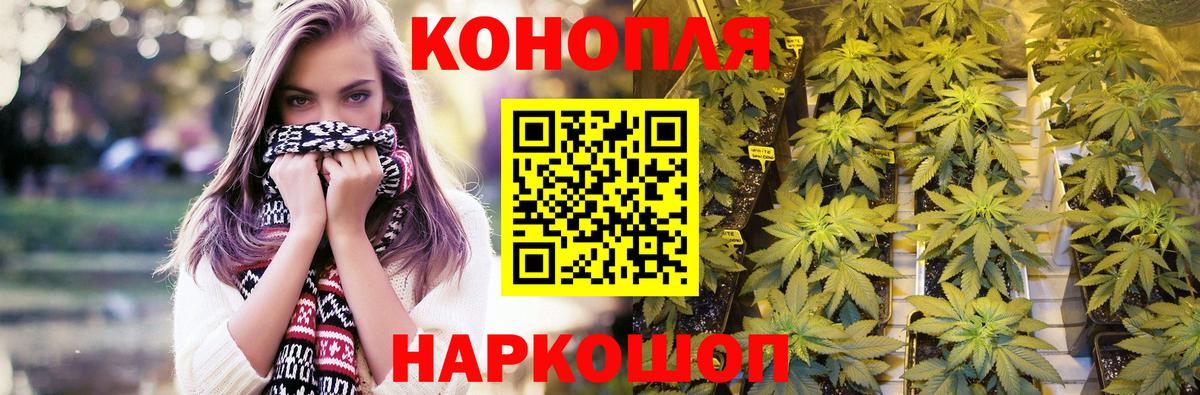 Марихуана Amnesia  Конопля марихуана  Гатчина  Канабис VHQ  Вход с VPN  Каннабис Bruce Banner 