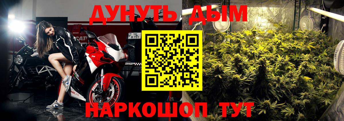 Конопля Bruce Banner Гатчина